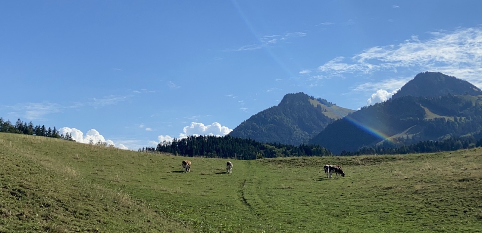 View from Gruyères
