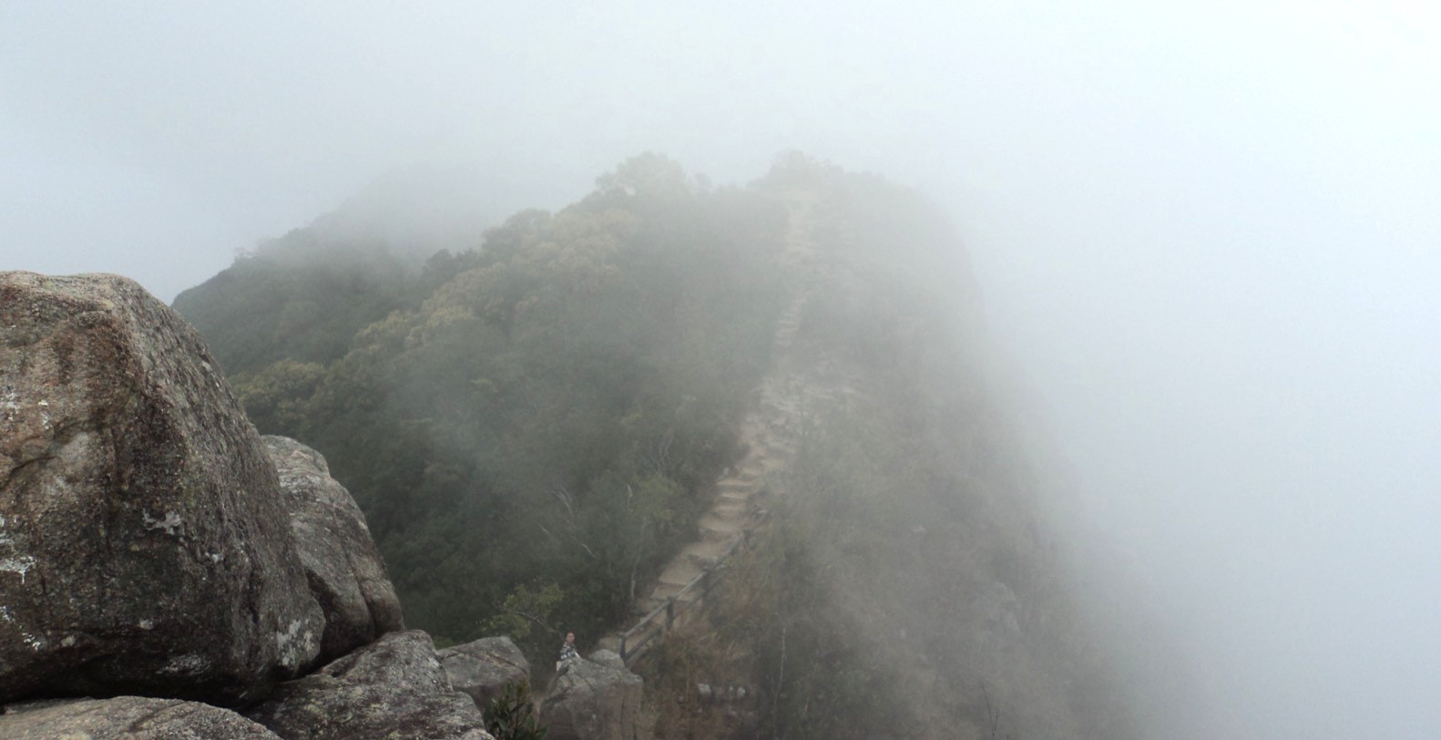 iew from the Lion Rock hike summit