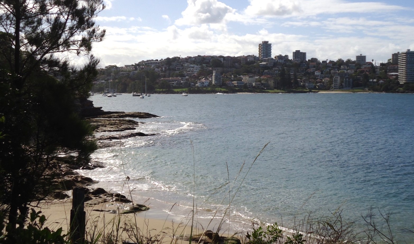 View from the Manly to Spit Bridge coastal walk