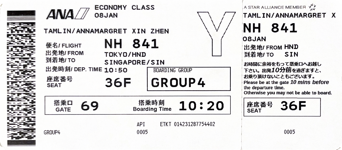 Plane ticket