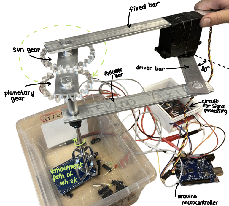 Physical Whisk Mechanism